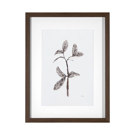 Olive Branch II by Gabrielle a Framed Art Print Matted under Glass by Mercana at Eve Furniture