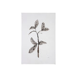 Olive Branch II by Gabrielle Campbell a Hand Embellished Textured Canvas by Mercana at Eve Furniture