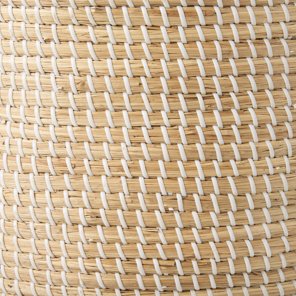 Olivia Set of 3 Beige Seagrass Basket W/Lid and Handles by Mercana at Eve Furniture