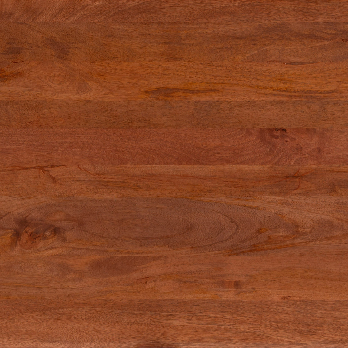 Omaga Walnut Storage Coffee Table by Zuomod at Eve Furniture
