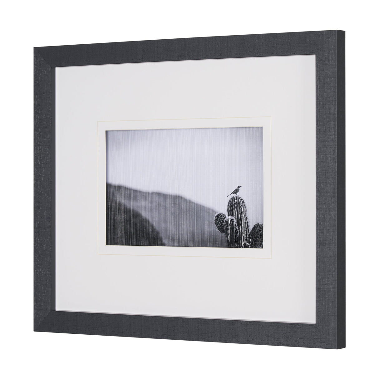 On Guard by Nathan Larson a Hand Embelished Textured Framed Photo Art Print Matted under Glass by Mercana at Eve Furniture