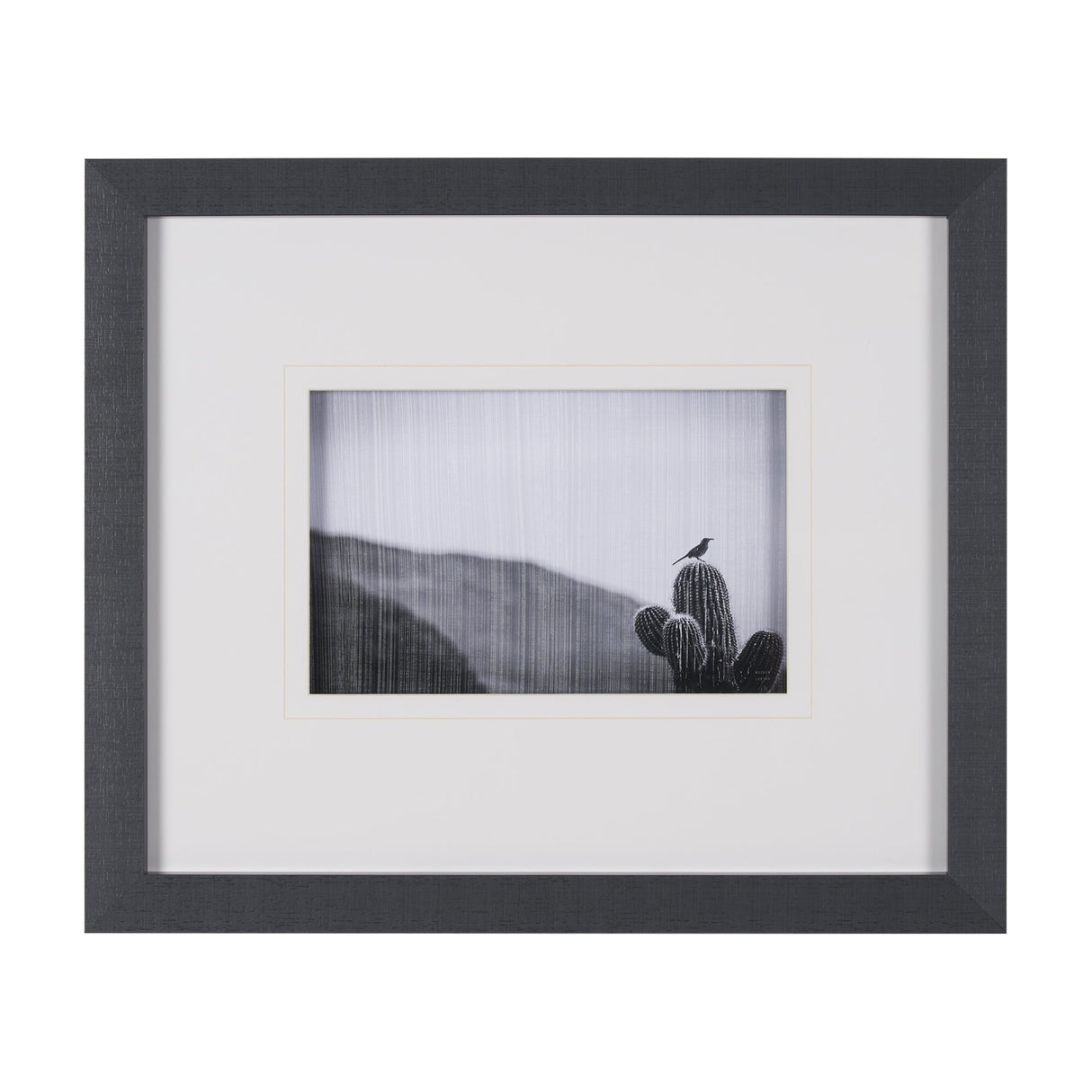 On Guard by Nathan Larson a Hand Embelished Textured Framed Photo Art Print Matted under Glass by Mercana at Eve Furniture