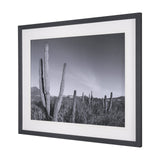 On The Ranch Cactus I by Norm Stelfox Hand Embelished Textured Framed Photo Art Print Matted under G by Mercana at Eve Furniture