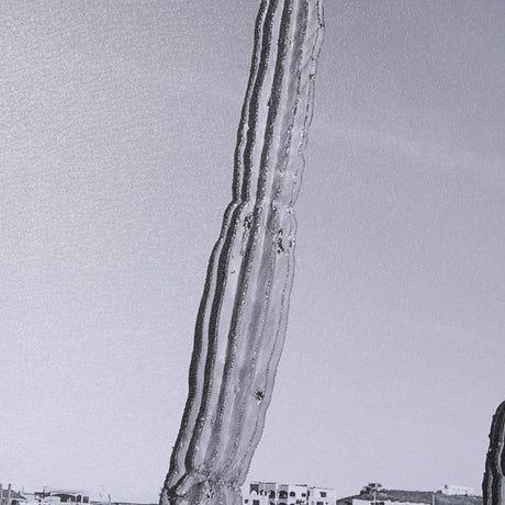 On The Ranch Cactus I by Norm Stelfox Hand Embelished Textured Framed Photo Art Print Matted under G by Mercana at Eve Furniture
