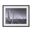 On The Ranch Cactus I by Norm Stelfox Hand Embelished Textured Framed Photo Art Print Matted under G by Mercana at Eve Furniture