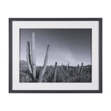 On The Ranch Cactus I by Norm Stelfox Hand Embelished Textured Framed Photo Art Print Matted under G by Mercana at Eve Furniture