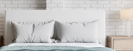 One Pearl Queen Upholstered Footboard Storage Bed by Modus Furniture at Eve Furniture