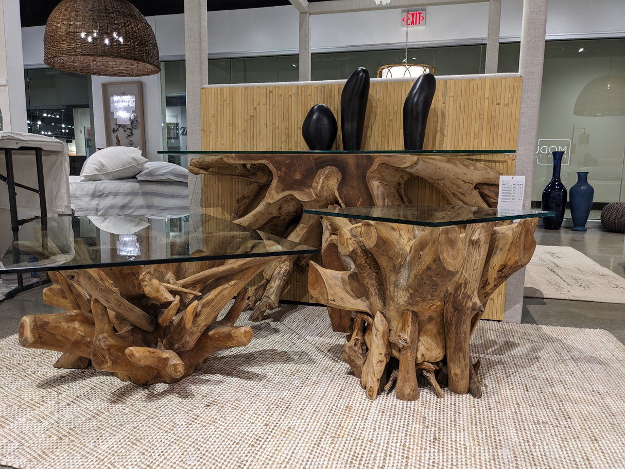 One Solid Teak Root Glass Top End Table by Modus Furniture at Eve Furniture