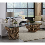 One Solid Teak Root Glass Top End Table by Modus Furniture at Eve Furniture