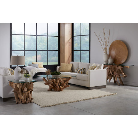 One Solid Teak Root Glass Top End Table by Modus Furniture at Eve Furniture