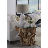One Solid Teak Root Glass Top End Table by Modus Furniture at Eve Furniture