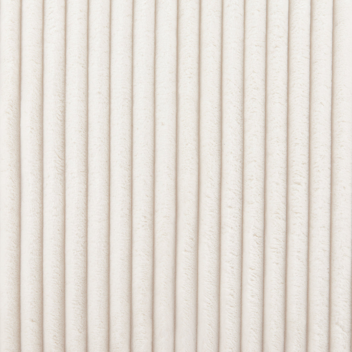 Opam White Accent Chair by Zuomod at Eve Furniture