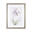 Orchid I by Gabrielle Campbell a Framed Art Print Matted under Glass by Mercana at Eve Furniture
