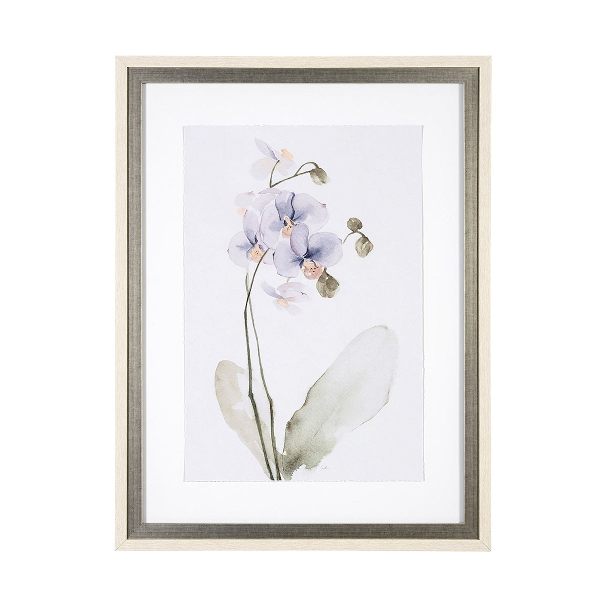 Orchid I by Gabrielle Campbell a Framed Art Print Matted under Glass by Mercana at Eve Furniture