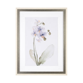 Orchid I by Gabrielle Campbell a Framed Art Print Matted under Glass by Mercana at Eve Furniture