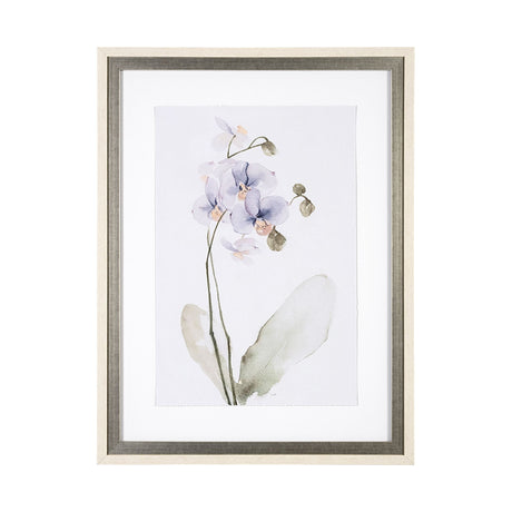 Orchid I by Gabrielle Campbell a Framed Art Print Matted under Glass by Mercana at Eve Furniture