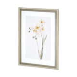 Orchid II by Gabrielle Campbell a Framed Art Print Matted under Glass by Mercana at Eve Furniture