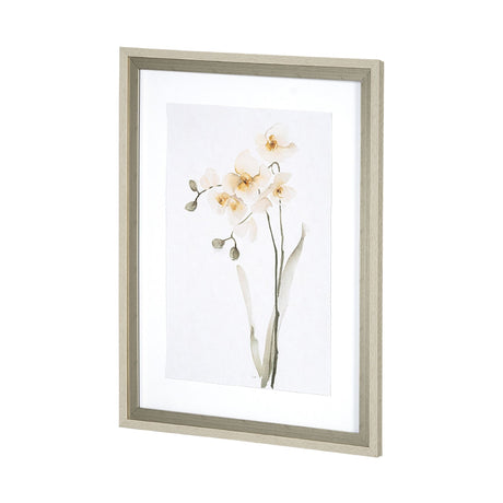 Orchid II by Gabrielle Campbell a Framed Art Print Matted under Glass by Mercana at Eve Furniture