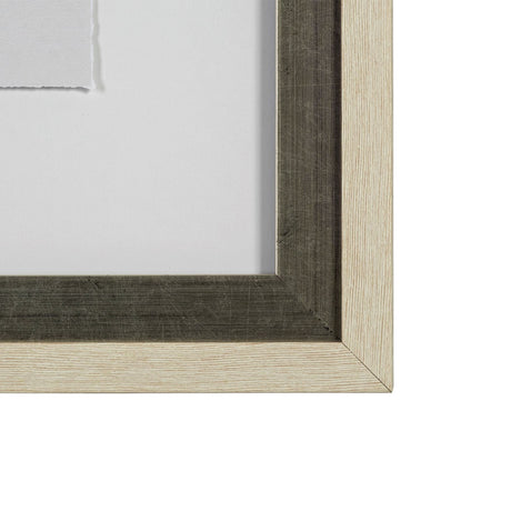 Orchid II by Gabrielle Campbell a Framed Art Print Matted under Glass by Mercana at Eve Furniture