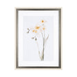 Orchid II by Gabrielle Campbell a Framed Art Print Matted under Glass by Mercana at Eve Furniture