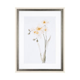 Orchid II by Gabrielle Campbell a Framed Art Print Matted under Glass by Mercana at Eve Furniture