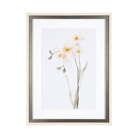 Orchid II by Gabrielle Campbell a Framed Art Print Matted under Glass by Mercana at Eve Furniture