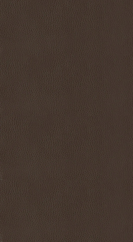 Ordway Brown/Brown Counter Height Stool, Brown by Homelegance at Eve Furniture