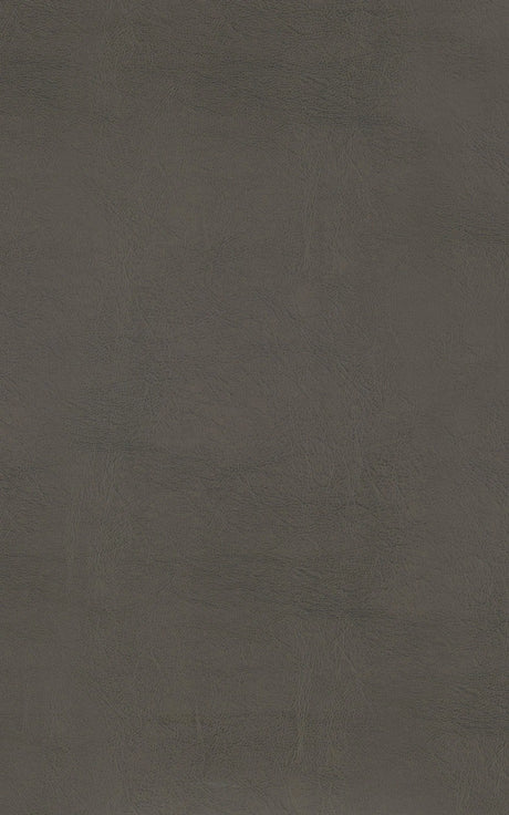 Ordway Gray/Brown Dining Stool, Gray by Homelegance at Eve Furniture