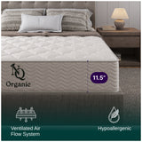 Organic Hybrid Plush Mattress by NapQueen at Eve Furniture