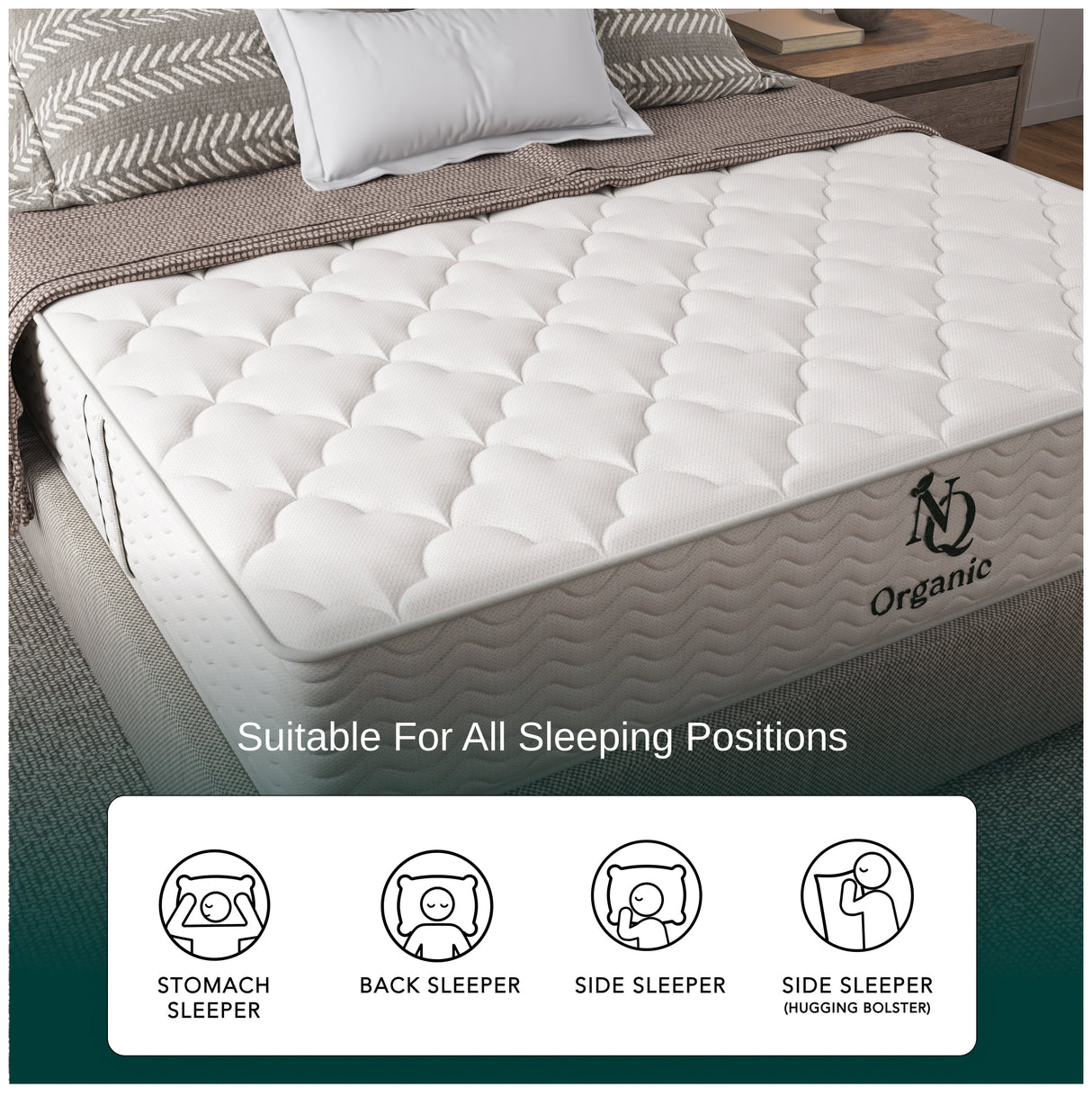 Organic Hybrid Plush Mattress by NapQueen at Eve Furniture