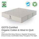 Organic Hybrid Plush Mattress by NapQueen at Eve Furniture