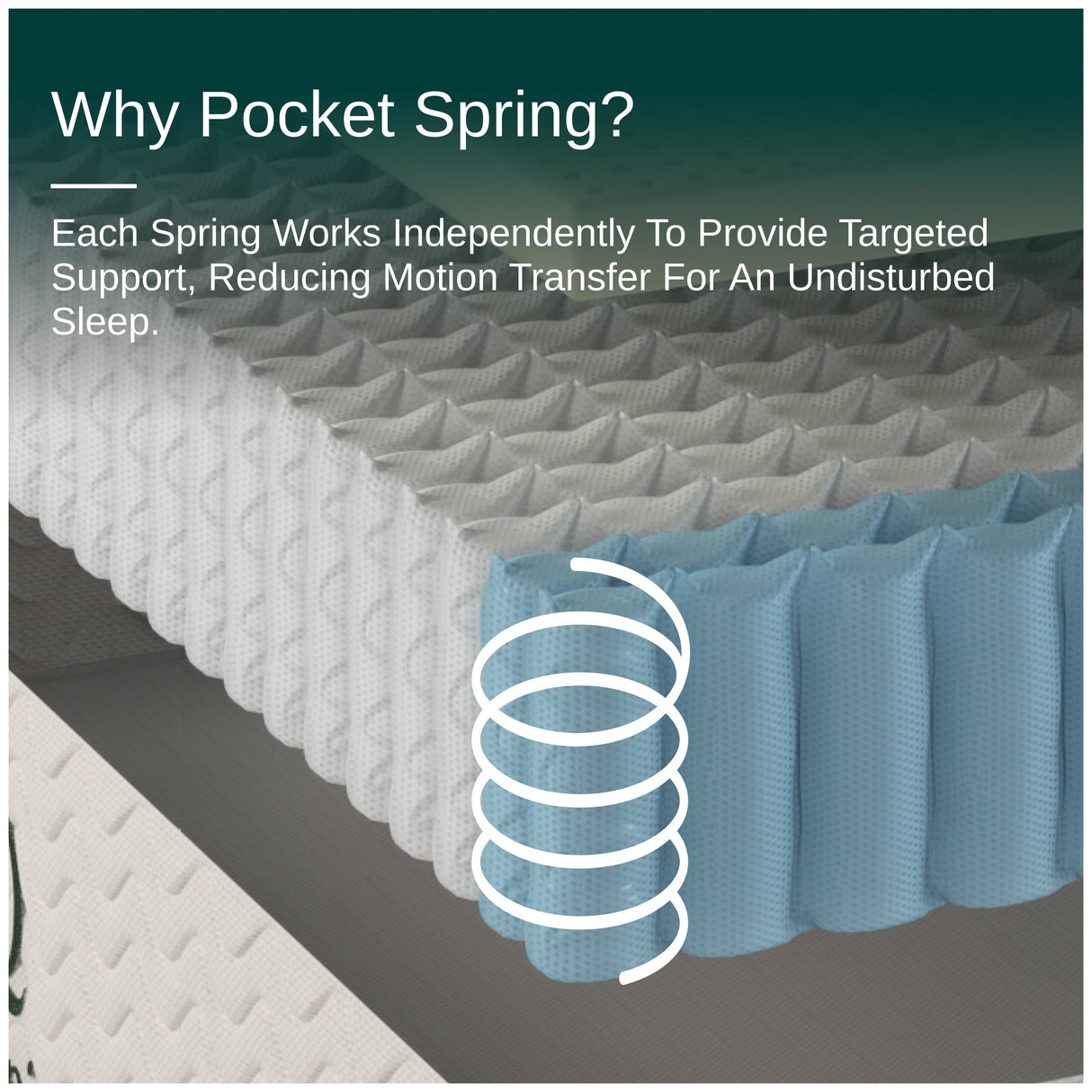 Organic Hybrid Plush Mattress by NapQueen at Eve Furniture