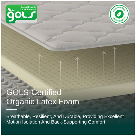 Organic Hybrid Plush Mattress by NapQueen at Eve Furniture