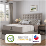 Organic Hybrid Plush Mattress by NapQueen at Eve Furniture