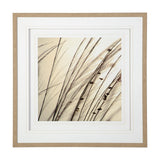 Organic I by Tony Koukos a Hand Embellished Textured Framed Art Photograph Matted under Glass by Mercana at Eve Furniture