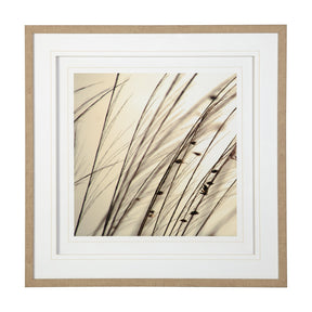 Organic I by Tony Koukos a Hand Embellished Textured Framed Art Photograph Matted under Glass by Mercana at Eve Furniture
