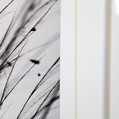 Organic II by Tony Koukos a Hand Embellished Textured Framed Art Photograph Matted under Glass by Mercana at Eve Furniture
