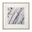 Organic II by Tony Koukos a Hand Embellished Textured Framed Art Photograph Matted under Glass by Mercana at Eve Furniture