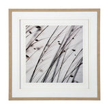 Organic II by Tony Koukos a Hand Embellished Textured Framed Art Photograph Matted under Glass by Mercana at Eve Furniture