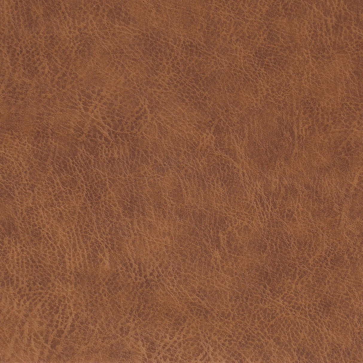 Ortega Padded Seat Solid Back Dining Side Chair Coffee and Black (Set of 2) by Coaster at Eve Furniture