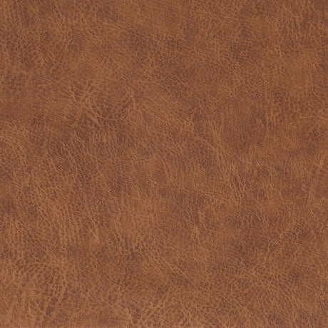 Ortega Padded Seat Solid Back Dining Side Chair Coffee and Black (Set of 2) by Coaster at Eve Furniture