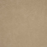 Ortega Tan Upholstered Dining Side Chair (Set of 2) by Coaster at Eve Furniture