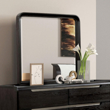 Osterley Black Mirror by Furniture of America at Eve Furniture