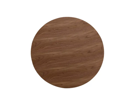 Otago Coffee Table - Walnut by Moe's Home at Eve Furniture