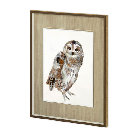 Owl II by Patti Mann a Hand Embellished Textured Framed Art Print Matted under Glass by Mercana at Eve Furniture
