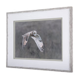 Owl in Flight by Chad Mackay a Framed Photo Art Print Matted under Glass by Mercana at Eve Furniture