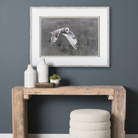 Owl in Flight by Chad Mackay a Framed Photo Art Print Matted under Glass by Mercana at Eve Furniture