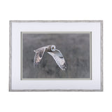 Owl in Flight by Chad Mackay a Framed Photo Art Print Matted under Glass by Mercana at Eve Furniture