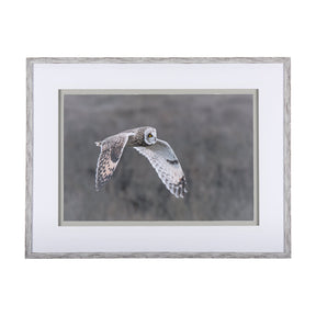 Owl in Flight by Chad Mackay a Framed Photo Art Print Matted under Glass by Mercana at Eve Furniture