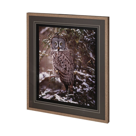 Owl in the Snow by PHBurchett a Framed Photo Art Print Matted under Glass by Mercana at Eve Furniture
